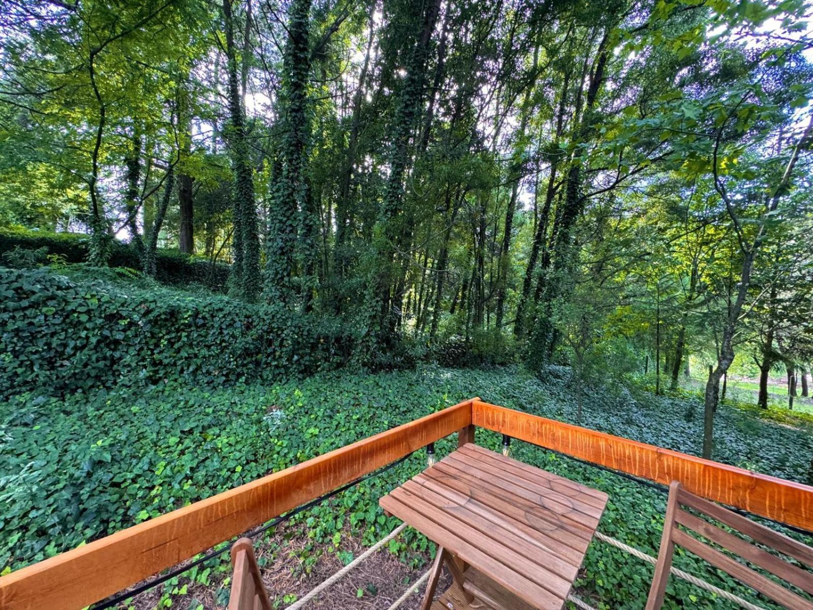 Glicinia Boutique Hotel Freamunde Eksteriør billede